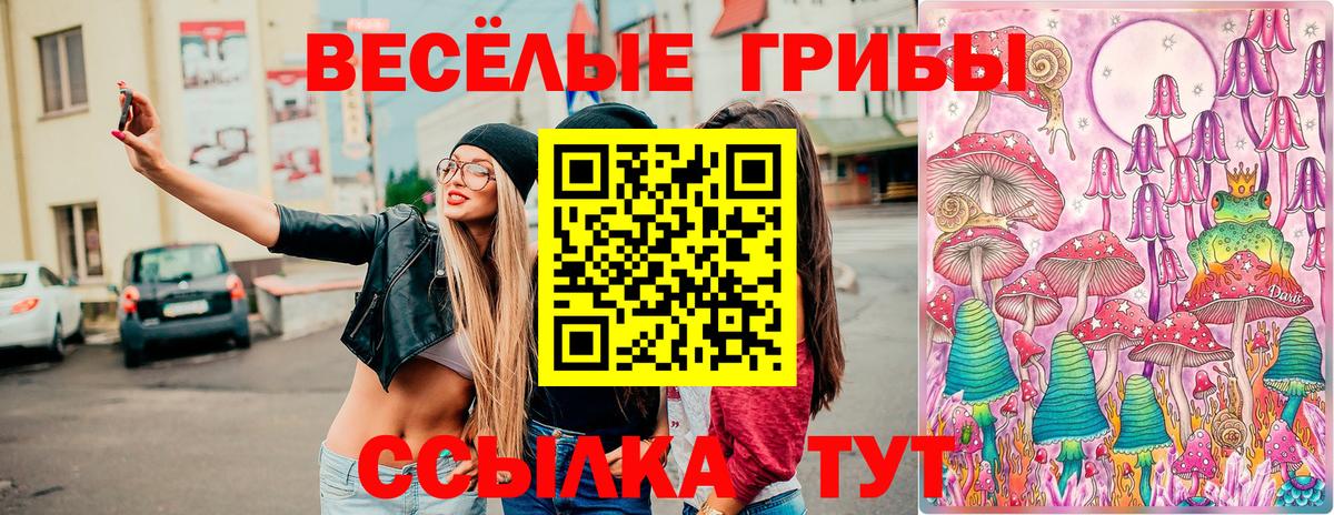 Псилоцибиновые грибы Psilocybe Усолье-Сибирское