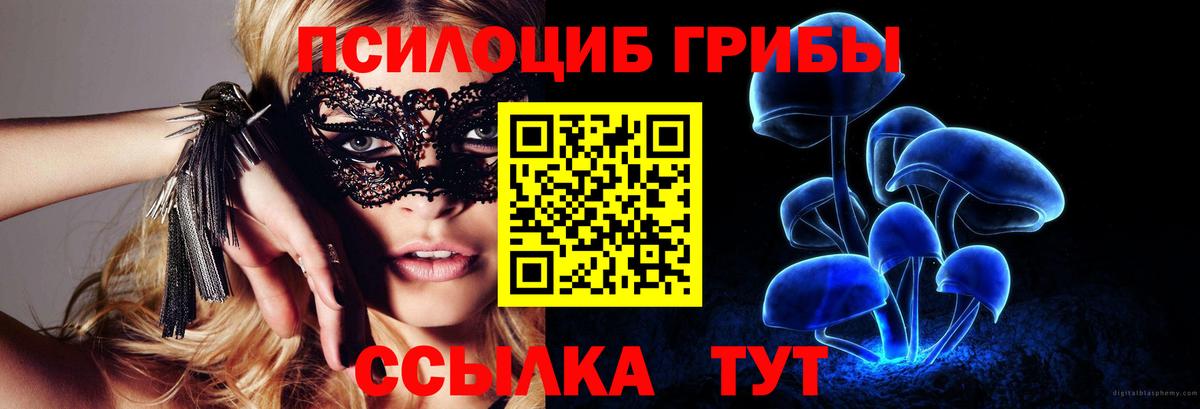 где можно купить наркотик  Псилоцибиновые грибы мицелий  Усолье-Сибирское  Вход с VPN  Галлюциногенные грибы Magic Shrooms 